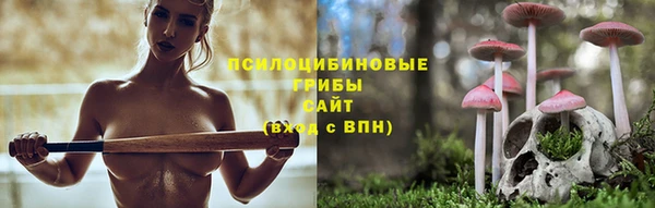 Альфа ПВП Каменск-Шахтинский