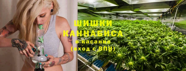 эйфоретик Каменногорск