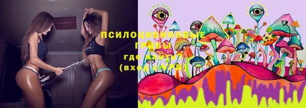 эйфоретик Каменногорск