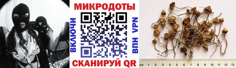 Псилоцибиновые грибы прущие грибы  Купить где  Вихоревка 