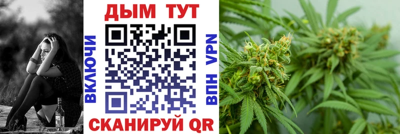 Купить закладки  Вихоревка  Каннабис Amnesia 